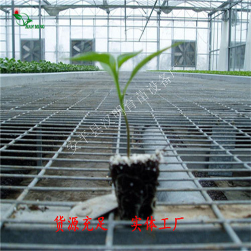 加工花苗培植苗床@農(nóng)用溫室苗床定制@漢明