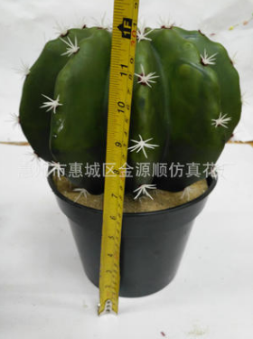 仿真仙人球 仿真仙人球報價 仿真仙人球哪家好 仿真仙人球供應商 仿真仙人球批發(fā)