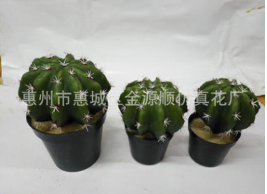 仿真盆 仿真盆栽生產(chǎn)廠家 仿真盆栽哪家 仿真盆栽供應(yīng)商 仿真盆栽批發(fā)