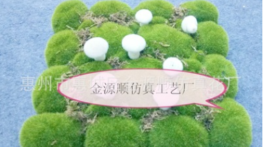 植物墻青苔草植物墻青苔草生產(chǎn)廠(chǎng)家 植物墻青苔草哪家好 植物墻青苔草供應(yīng)商 植物墻青苔草批發(fā)