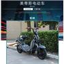 柏林 柏林電動(dòng)車 奧斯電單車 簡易款電動(dòng)車 奧斯電動(dòng)車