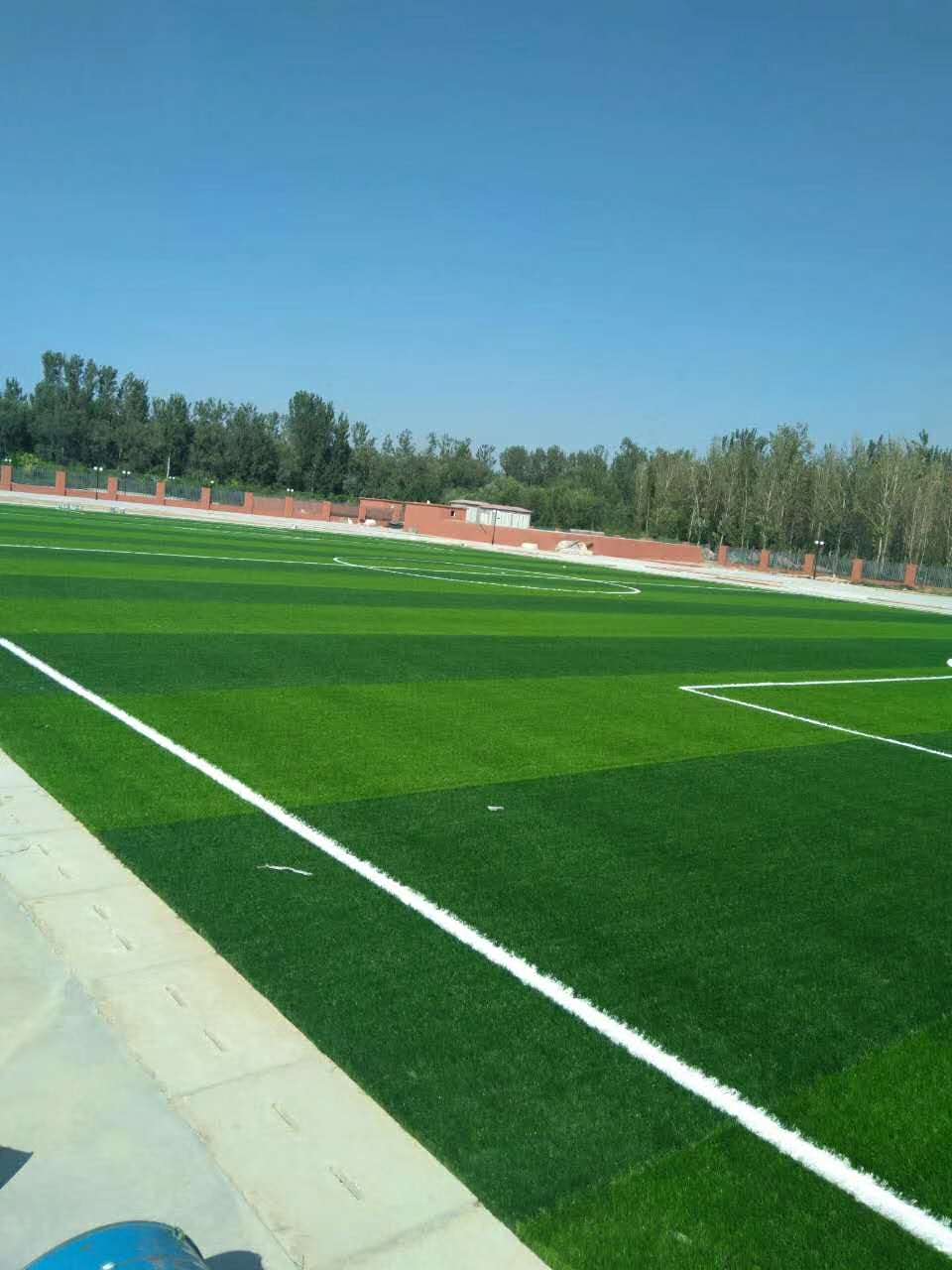 山東人造草坪足球場 山東德州人造草坪足球場