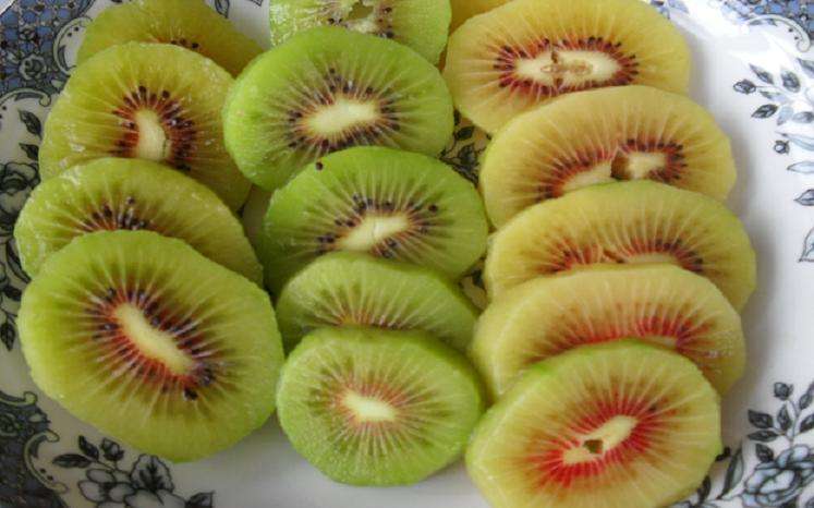 紅陽獼猴桃苗-湖南紅陽獼猴桃苗基地/廠家批發(fā)價(jià)格報(bào)價(jià)供應(yīng)商