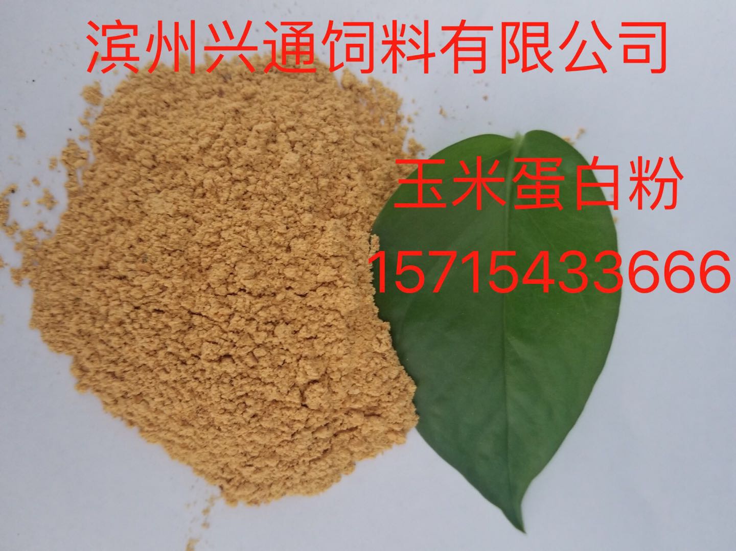 山東濱州廠家供應(yīng)玉米蛋白飼料