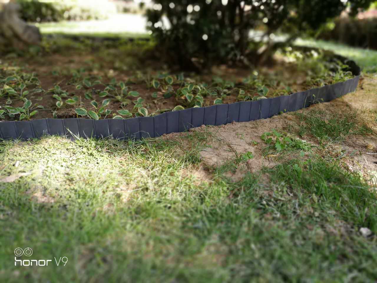 供應(yīng)花池圍板