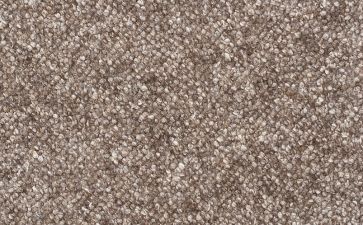 壽寧紅 壽寧紅報(bào)價(jià) 壽寧紅批發(fā) 壽寧壽寧紅