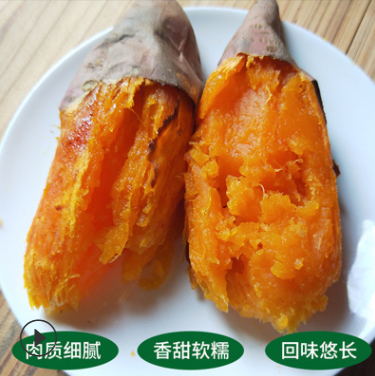 蜜薯煙薯 蜜薯煙薯報價 蜜薯煙薯哪家好 蜜薯煙薯批發(fā) 蜜薯煙薯生產(chǎn)廠家 蜜薯煙薯供應(yīng)商