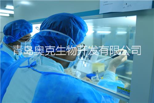 保存臍帶干細(xì)胞哪家好  干細(xì)胞療效 間充質(zhì)干細(xì)胞