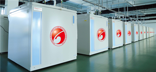 臍帶干細(xì)胞保存及開發(fā)研究  干細(xì)胞療效 間充質(zhì)干細(xì)胞 安全