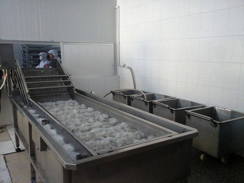 氣泡式果蔬清洗機(jī) 高壓噴淋清洗機(jī)