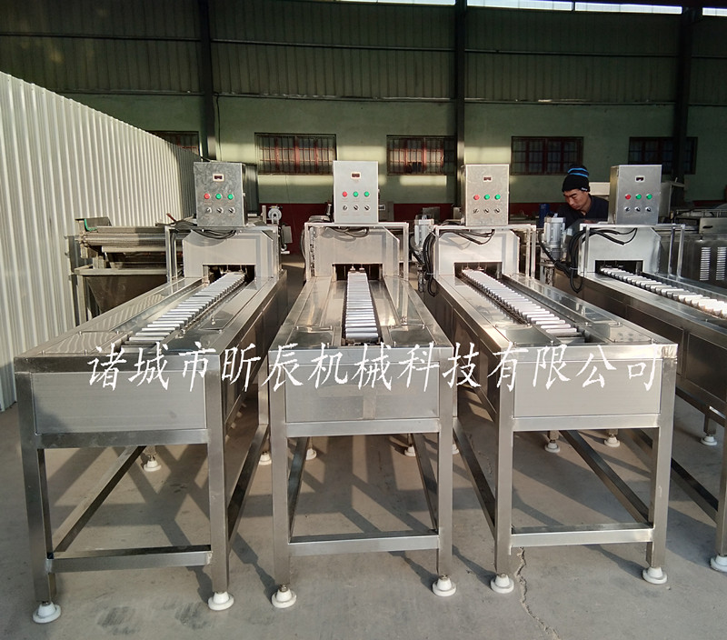 速凍玉米切頭去尾機 玉米切頭機 糯玉米切頭去尾機