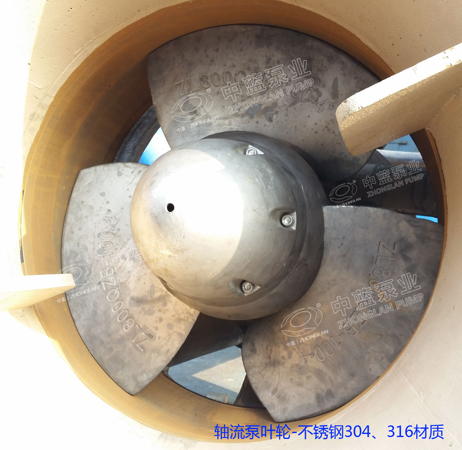 高端潛水軸流泵生產(chǎn)廠家