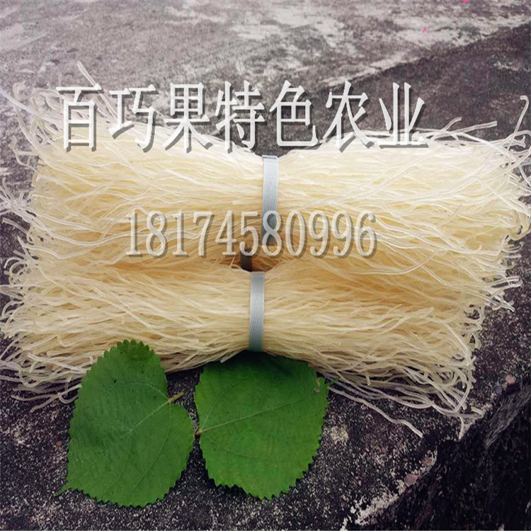 湖南旱藕芭蕉芋基地種苗批發(fā)