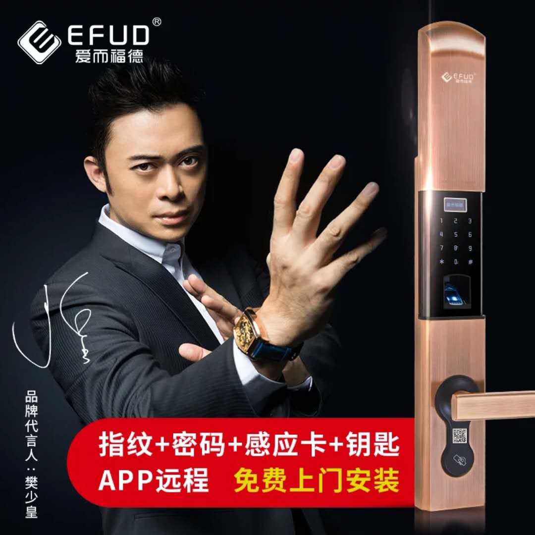 武漢市 武漢市愛而福德指紋鎖廠家