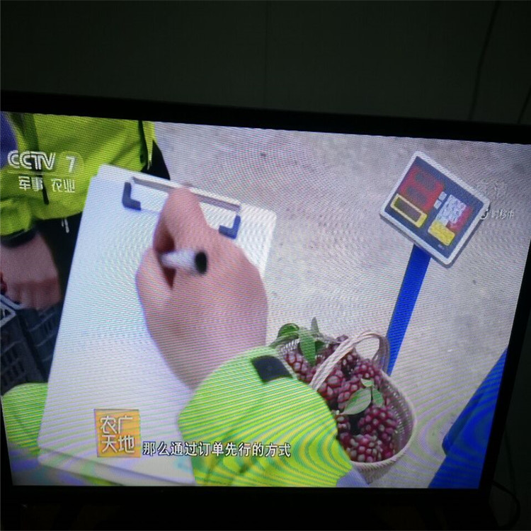 《農(nóng)廣天地》報(bào)道好品種黑老虎