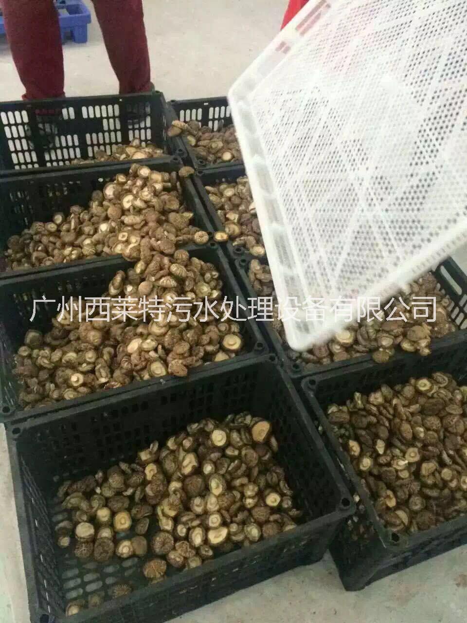 香菇烘干機 香菇除濕機