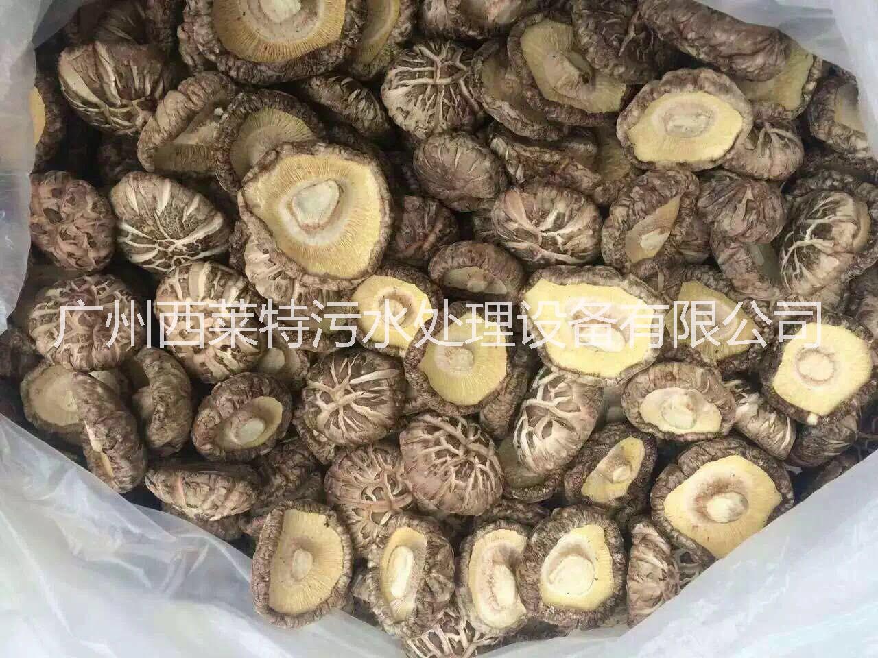 香菇烘干機 香菇除濕機