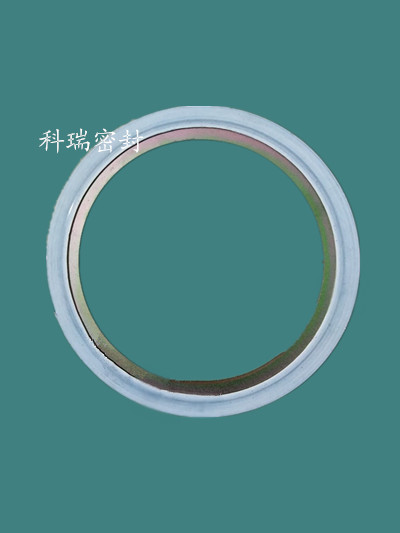 金屬纏繞墊片，石墨纏繞墊片，帶內(nèi)外加強環(huán)纏繞式墊片