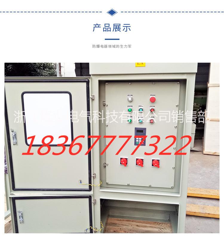 防爆防腐配電箱   防爆配電箱價(jià)格