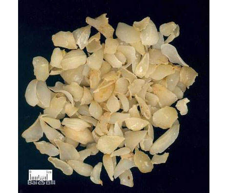 百合，百合的作用與功效，貴州百合，貴州百合報價