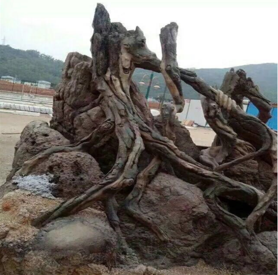 廣州綠化工程設(shè)計(jì)施工-專業(yè)供應(yīng)商