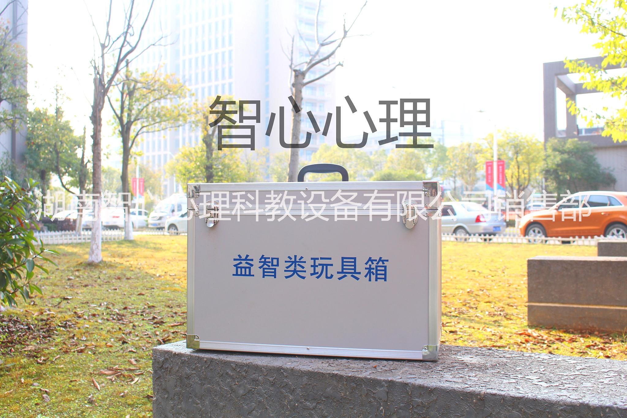 黑龍江哈爾濱市智能團體活動輔導箱批發(fā)價格