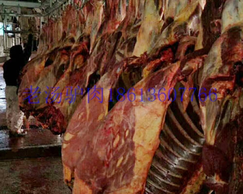 供應(yīng)蒙古馬肉馬前腿馬后腿