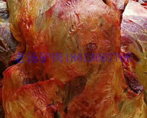 供應(yīng)蒙古馬肉馬前腿馬后腿