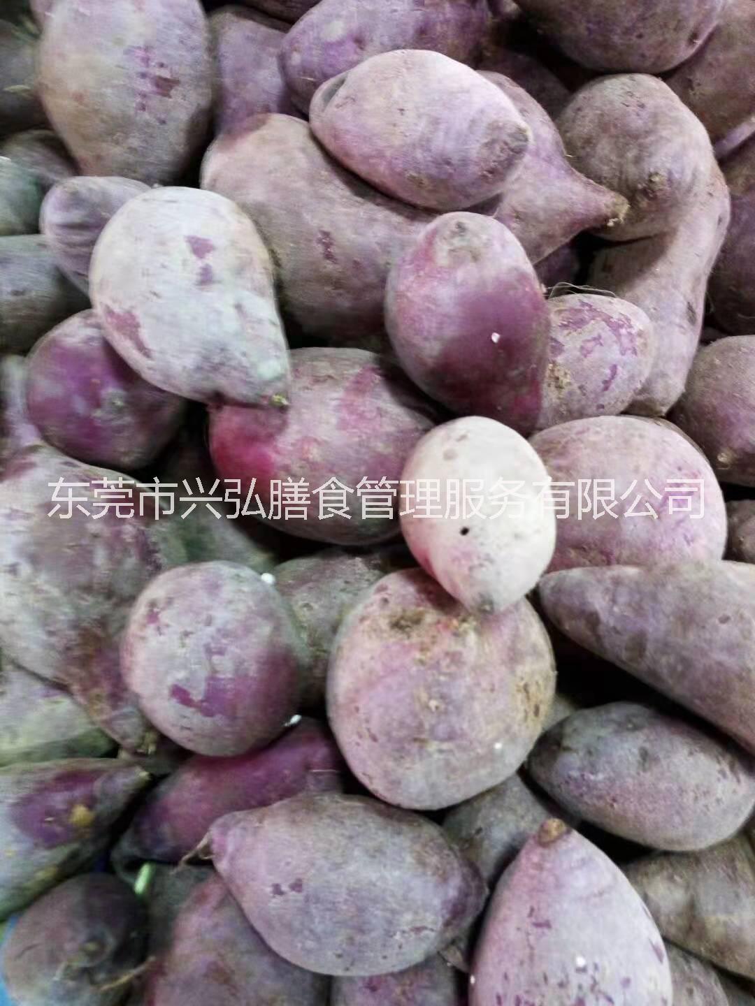 東莞食堂配送/東莞酒店配送菜/東莞單位配送菜/東莞學校配送菜 東莞食堂配送報價