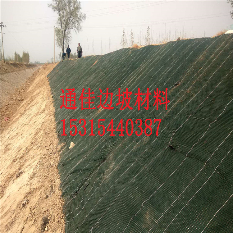*四川環(huán)保抗沖生態(tài)毯  加筋防沖毯  環(huán)保綠化