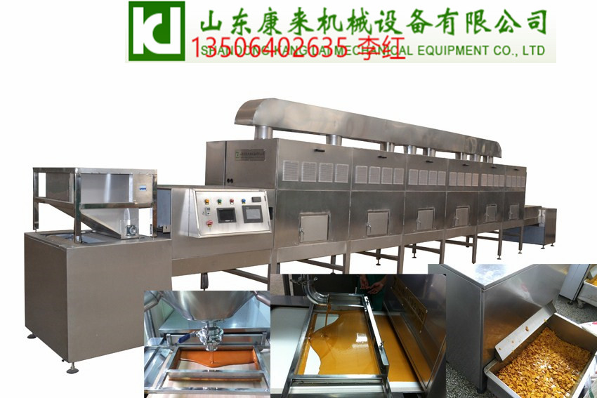 黃豆 黃豆微波烘烤熟化設(shè)備，黃豆脫腥機(jī)  濟(jì)南康來(lái)微波廠家  微波烘烤