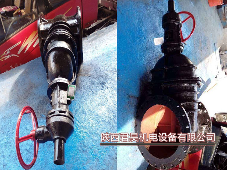 大口徑水庫閘閥Z945T-10水庫放水閘板閥 污水管網(wǎng)鑲銅法蘭閘閥 鑄鐵閘門