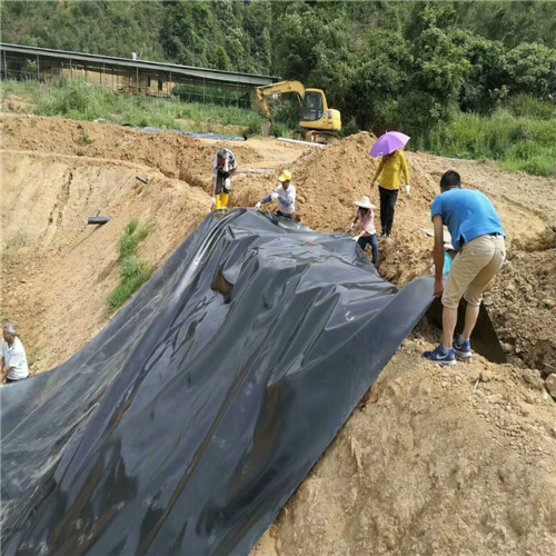 城建1.5mm土工膜多少錢一平米