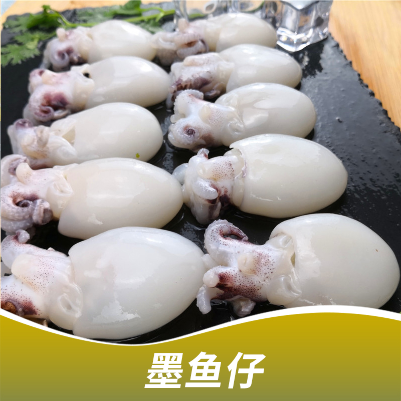 墨魚仔海鮮凍品|冰凍海鮮|冰凍墨魚仔|冷凍墨魚仔|冰凍章魚|冰凍魷魚|廠家直銷|產(chǎn)地供應|批發(fā)商|供貨商|供應商