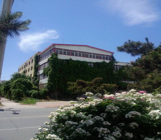 硬脂酸鋇抽真空型閥口袋定量包裝機(jī)，河北普達(dá)閥口袋包裝機(jī)