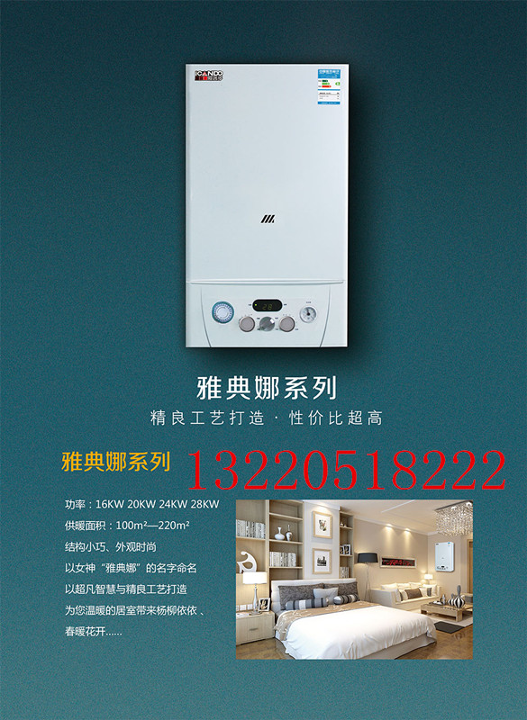 壁掛爐 燃?xì)獗趻鞝t