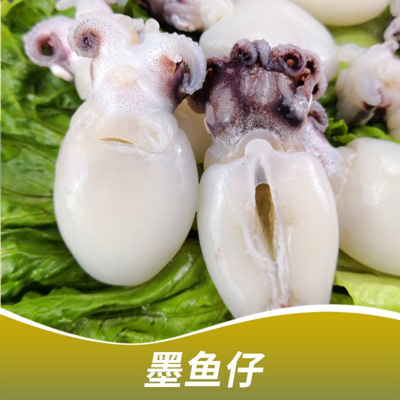 墨魚仔海鮮凍品|冰凍海鮮|冰凍墨魚仔|冷凍墨魚仔|冰凍章魚|冰凍魷魚|廠家直銷|產(chǎn)地供應|批發(fā)商|供貨商|供應商