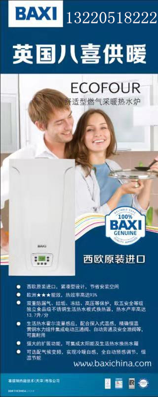 供應(yīng)冷凝壁掛爐13656470697