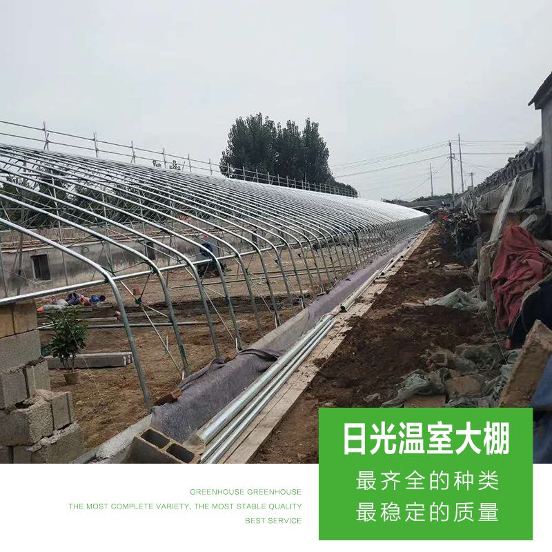 鑫百匯日光溫室大棚-根據(jù)客戶要求施工設(shè)計