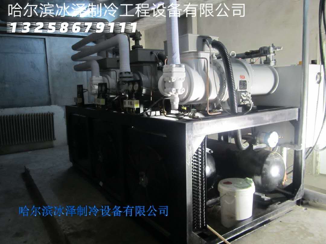 娛樂性滑冰場工程  溜冰場建設  冰雪項目方案設計