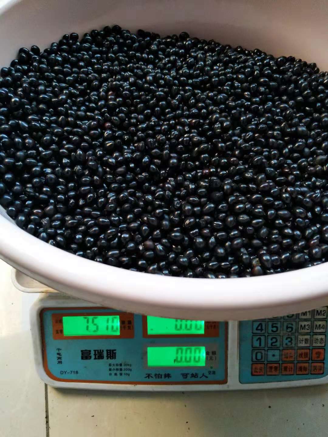 中藥材種植/中藥材種苗/山豆根種苗 貴州山豆根種苗  貴州山豆根供應(yīng)商 山豆根種子、種苗 山豆根種子、種苗批發(fā)