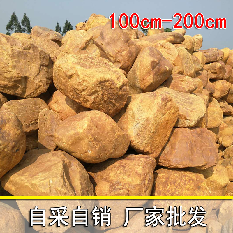 觀賞黃蠟石小區(qū)置景黃蠟石、公園觀賞石、別墅花園黃蠟石、水池圍邊黃色石