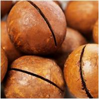 殼子妃子    夏威夷果批發(fā)休閑零食干果蜜餞送禮佳品