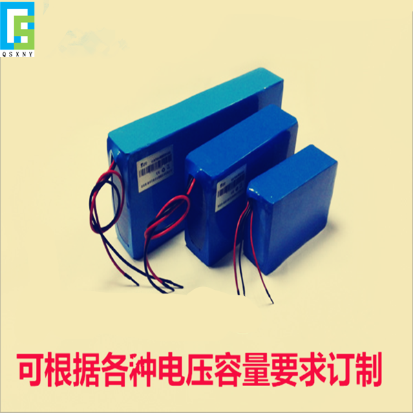 直銷(xiāo)48V20A電動(dòng)車(chē)鋰電池組 電動(dòng)車(chē)摩托車(chē)鋰電池  供應(yīng)鋰電池 廠家 批發(fā)