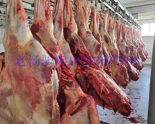 廠家*進(jìn)口馬肉蒙古草原散養(yǎng)現(xiàn)宰速凍馬肉