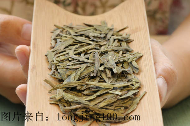 西湖龍井春茶