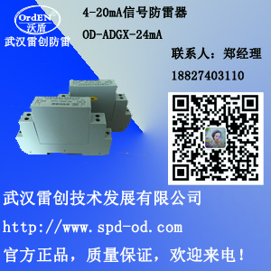 供應(yīng)220V三級(jí)防雷器｜C級(jí)電源防雷器｜機(jī)房第三級(jí)防雷｜220V單相防雷模塊 220V三級(jí)防雷器C級(jí)電源防雷器