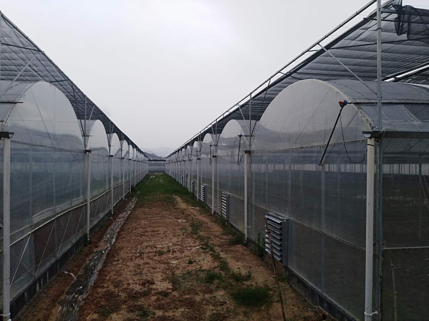 江蘇蔬菜大棚骨架廠家建設(shè)造價(jià)咨詢電話 蔬菜大棚廠家批發(fā)報(bào)價(jià)價(jià)格表 蔬菜大棚樣板圖效果圖片