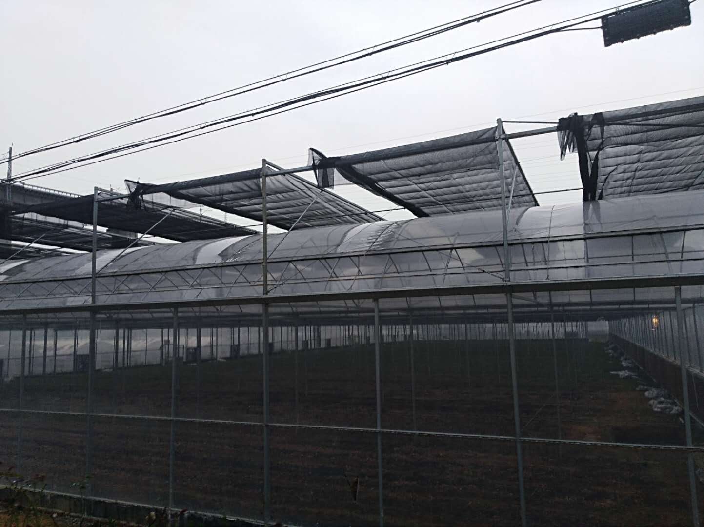 江蘇蔬菜大棚骨架廠家建設(shè)造價(jià)咨詢電話 蔬菜大棚廠家批發(fā)報(bào)價(jià)價(jià)格表 蔬菜大棚樣板圖效果圖片