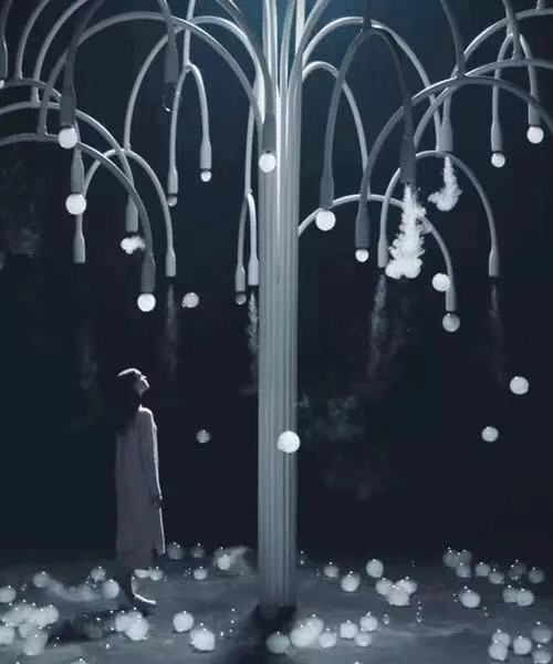 煙霧泡泡樹 煙霧泡泡樹/煙泡樹廠家